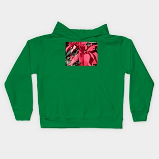 USA Poinsettias Kids Hoodie